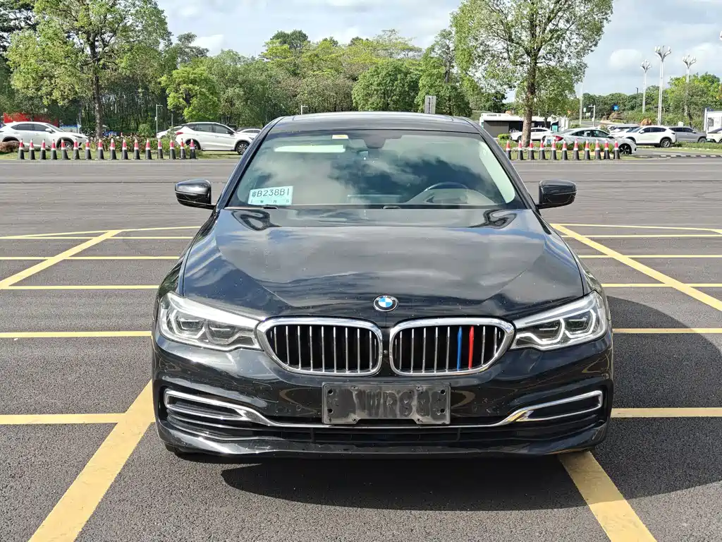 BMW 5 Series 5 2020 530Li Premium Luxury