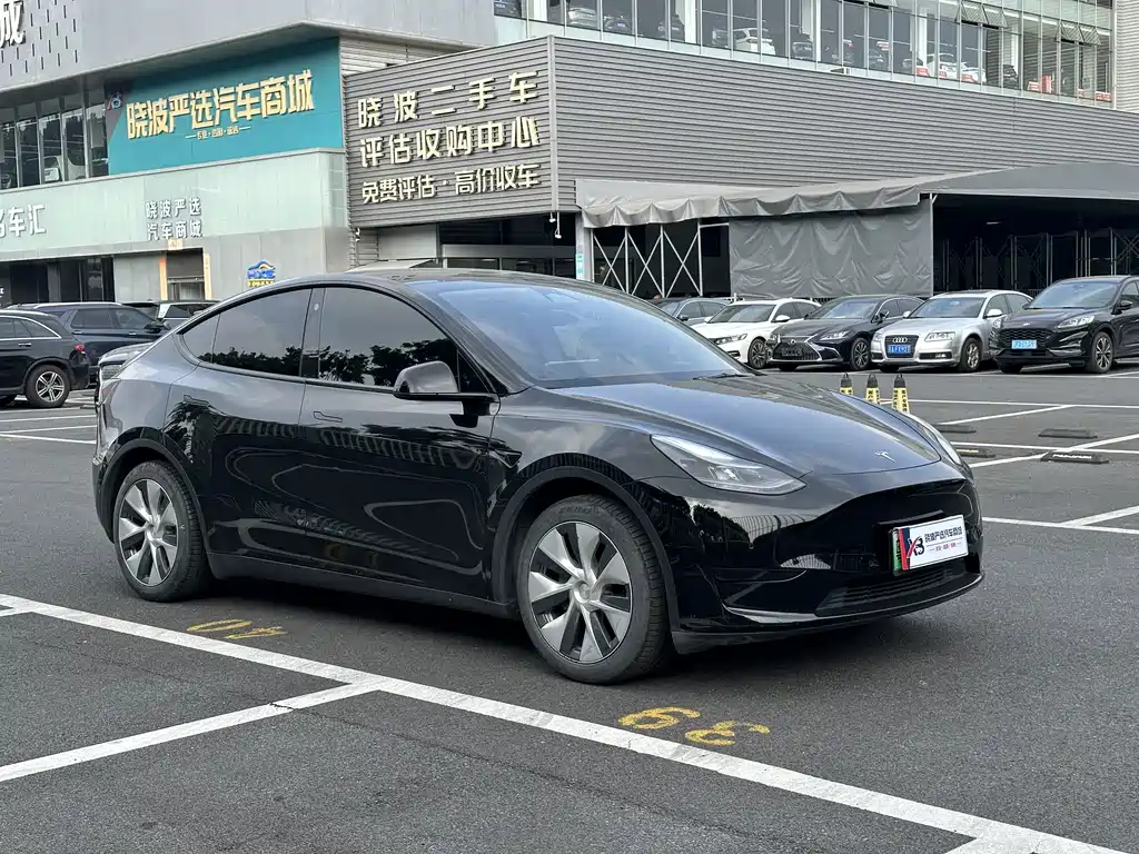 Tesla Model Y — миниатюра 3