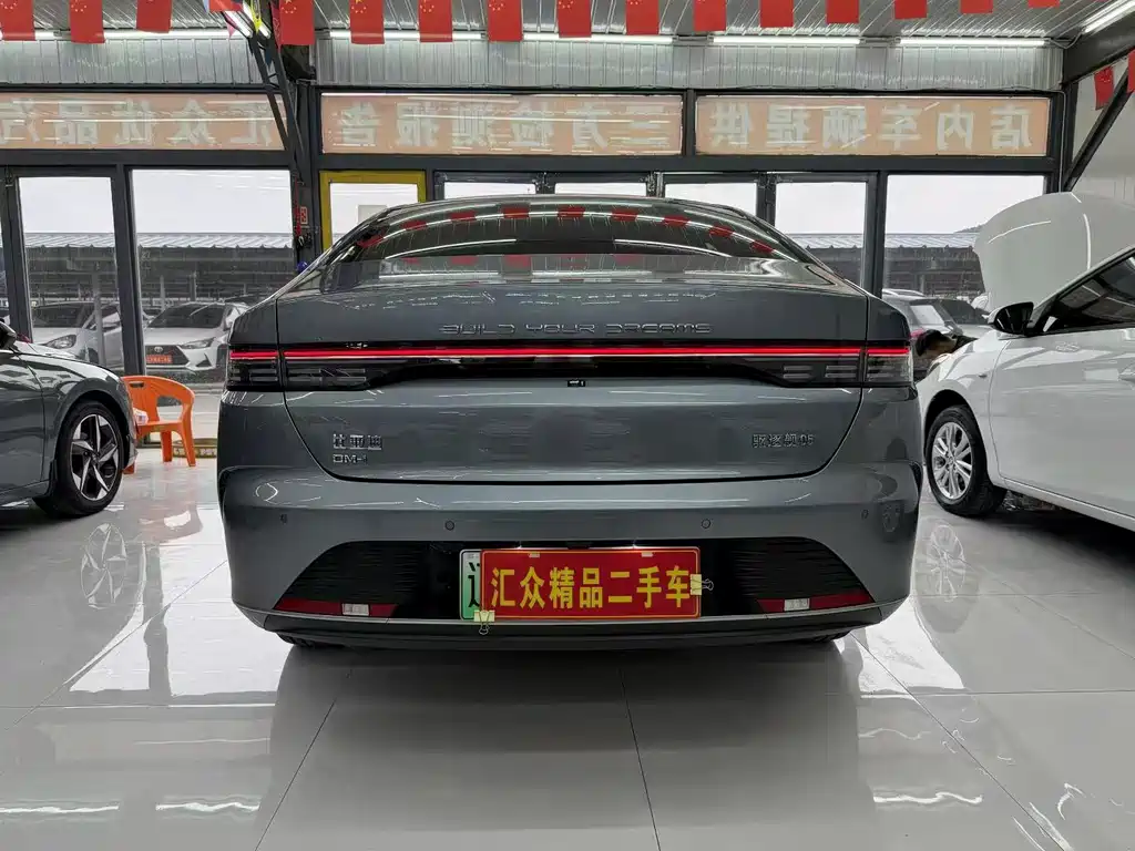 BYD Destroyer 05 — миниатюра 6