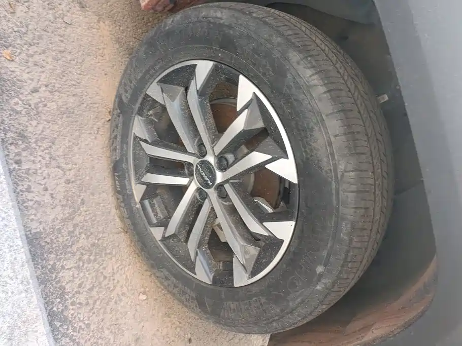 Haval Big Dog PLUS — миниатюра 6