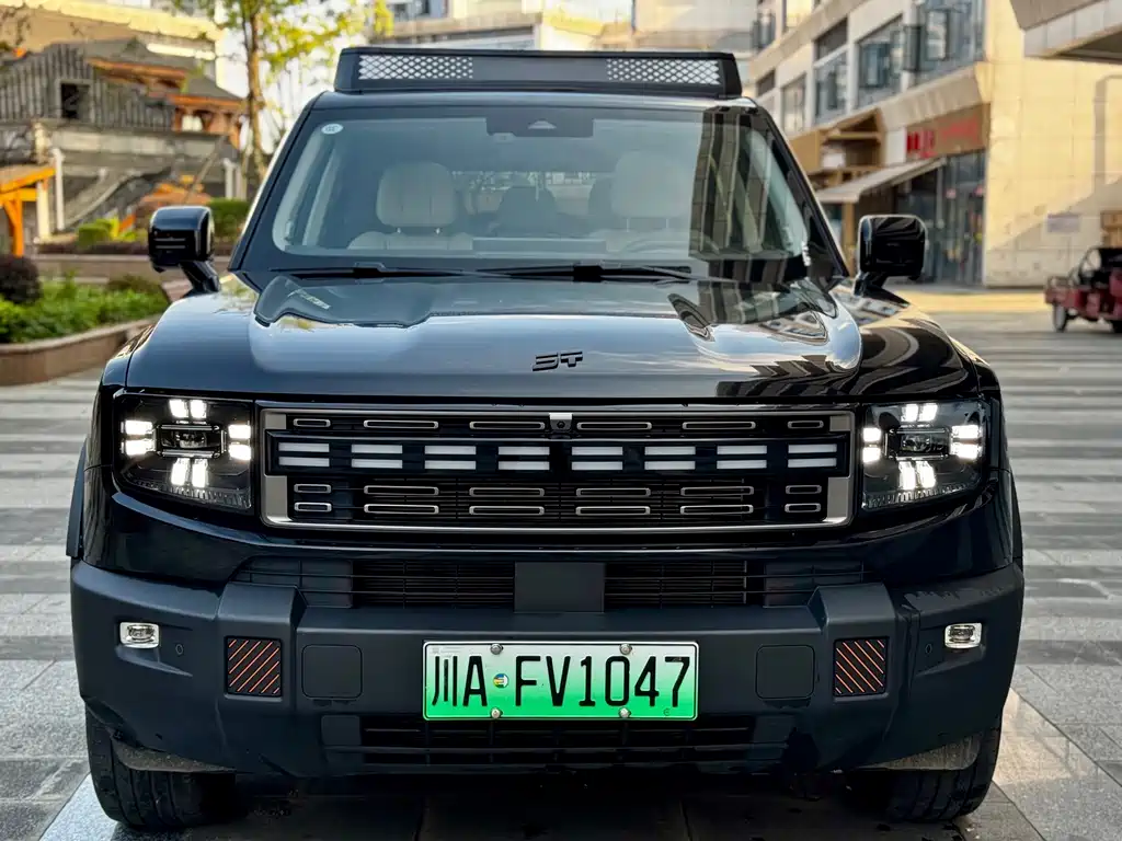 Shanhai Shanhai T1 — миниатюра 2