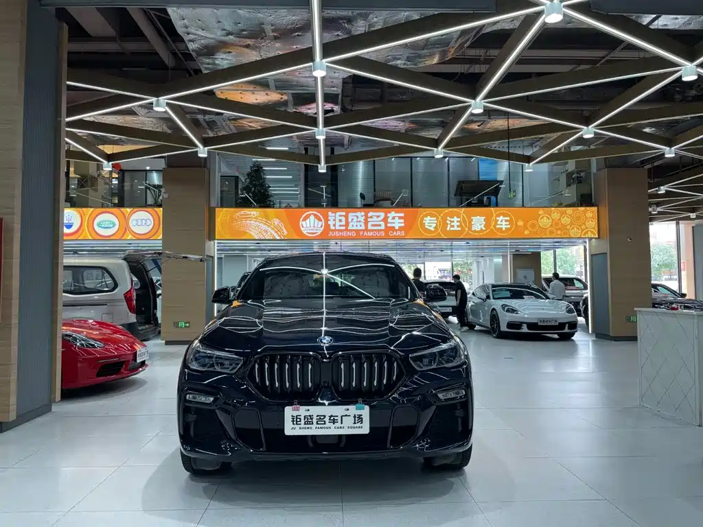 BMW X6 — миниатюра 2
