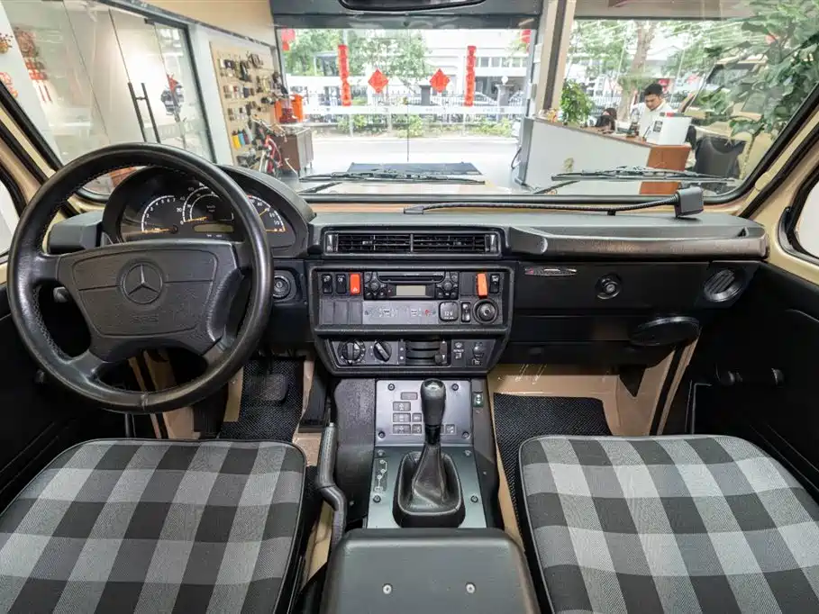 Mercedes-Benz G-Class G 2010 G 300 P