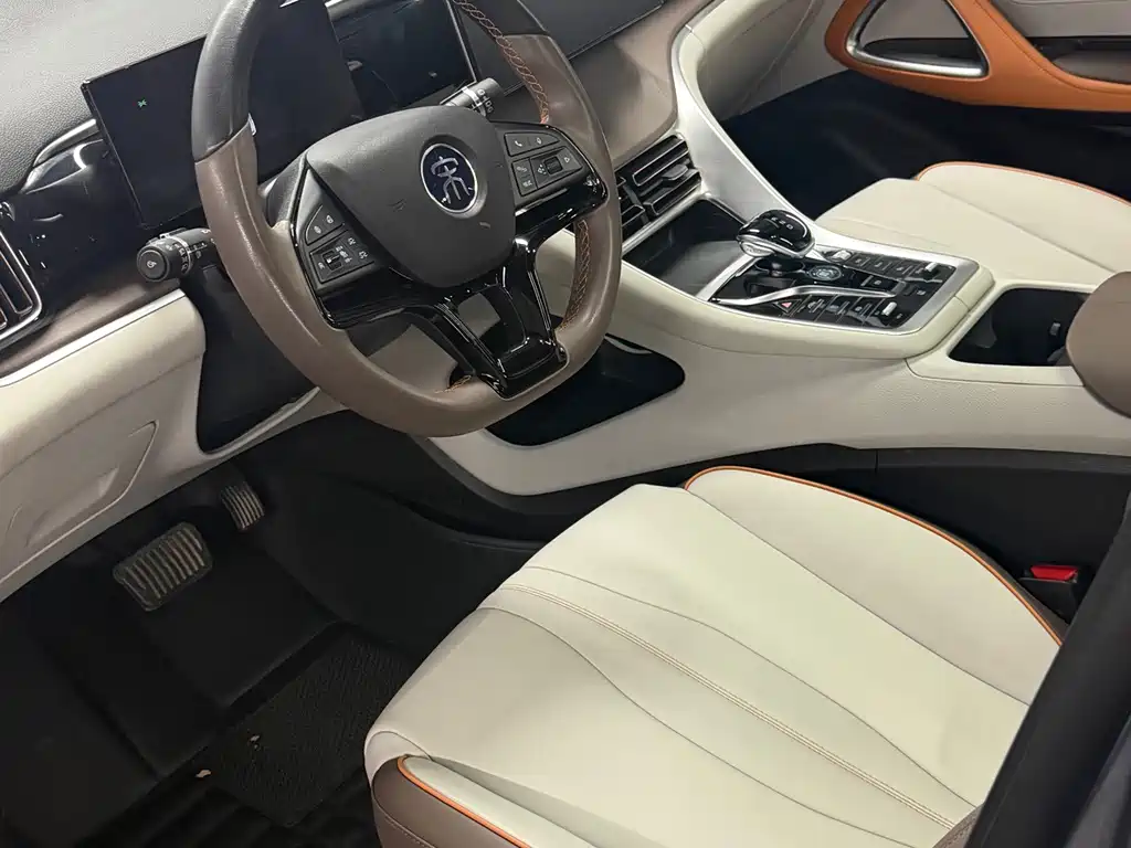 BYD Pro New Energy — миниатюра 8