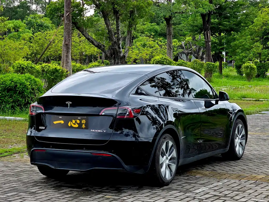 Tesla Model Y — миниатюра 9