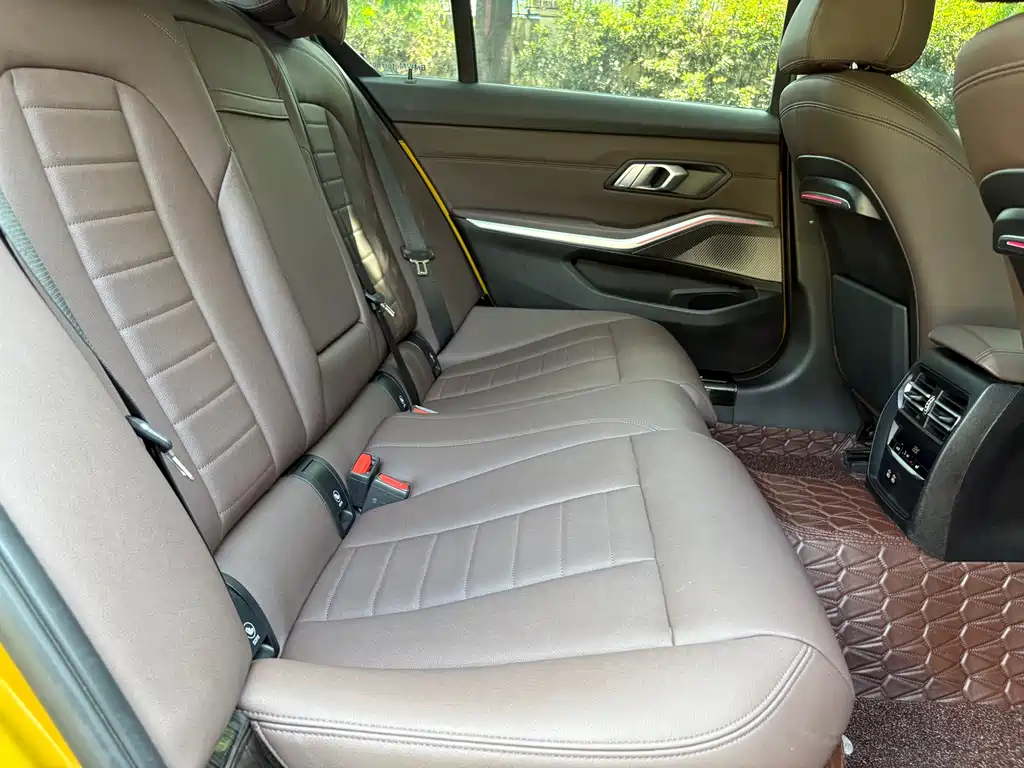 BMW 3 Series 3 2020 325Li M Sport