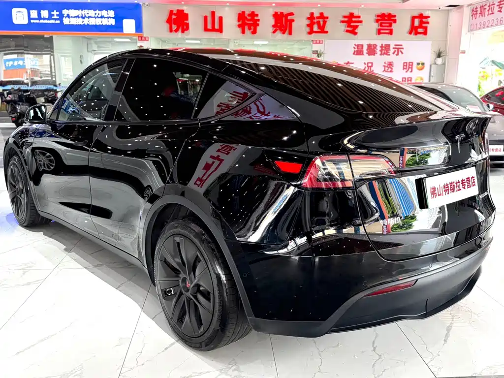 Tesla Model Y — миниатюра 3