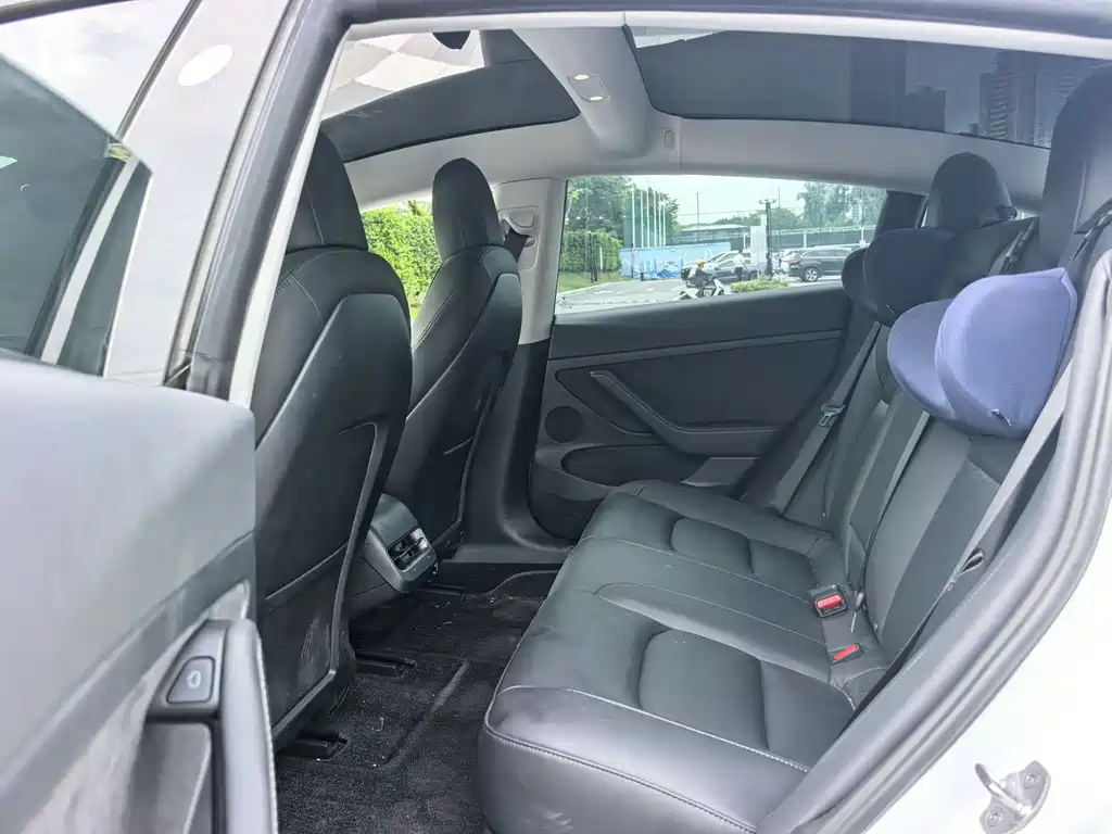 Tesla Model 3 2021 3D6