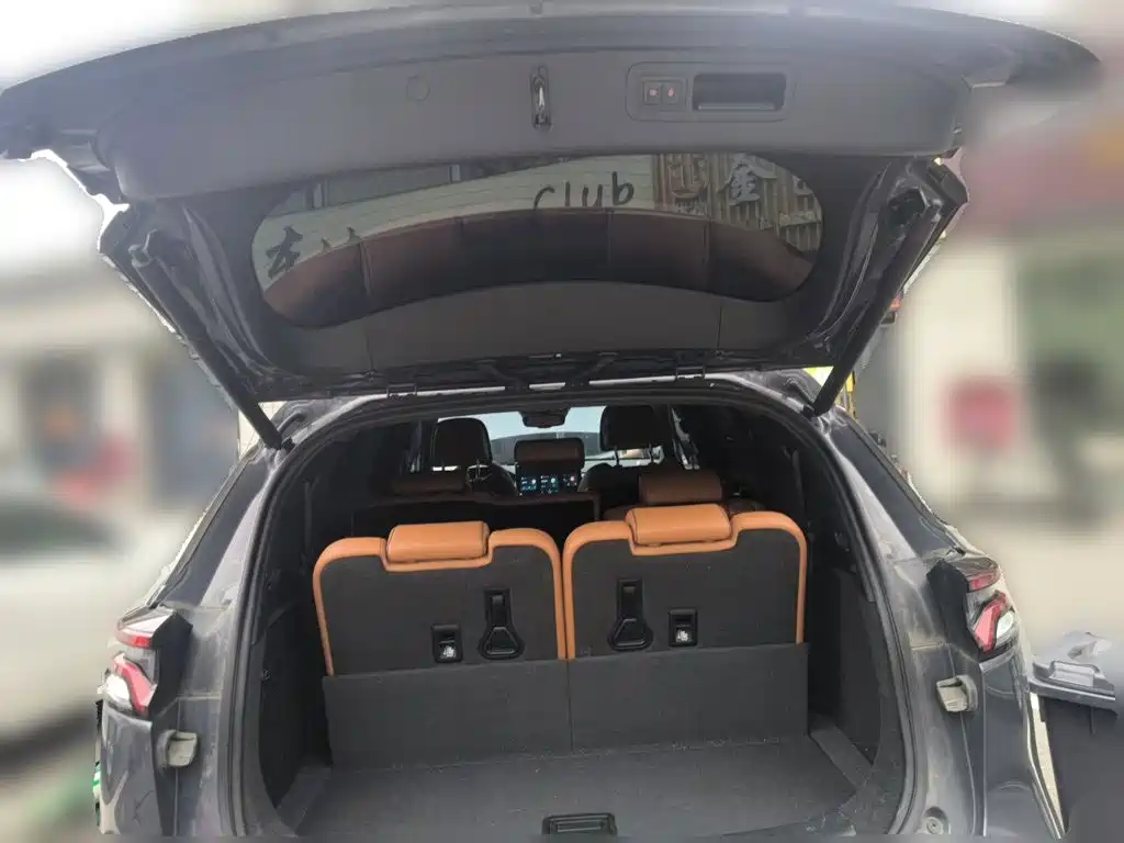 BYD Tang New Energy — миниатюра 15