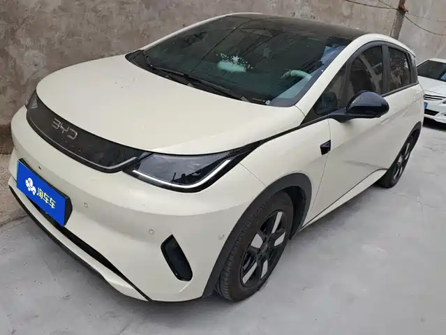 2025 BYD Dolphin
