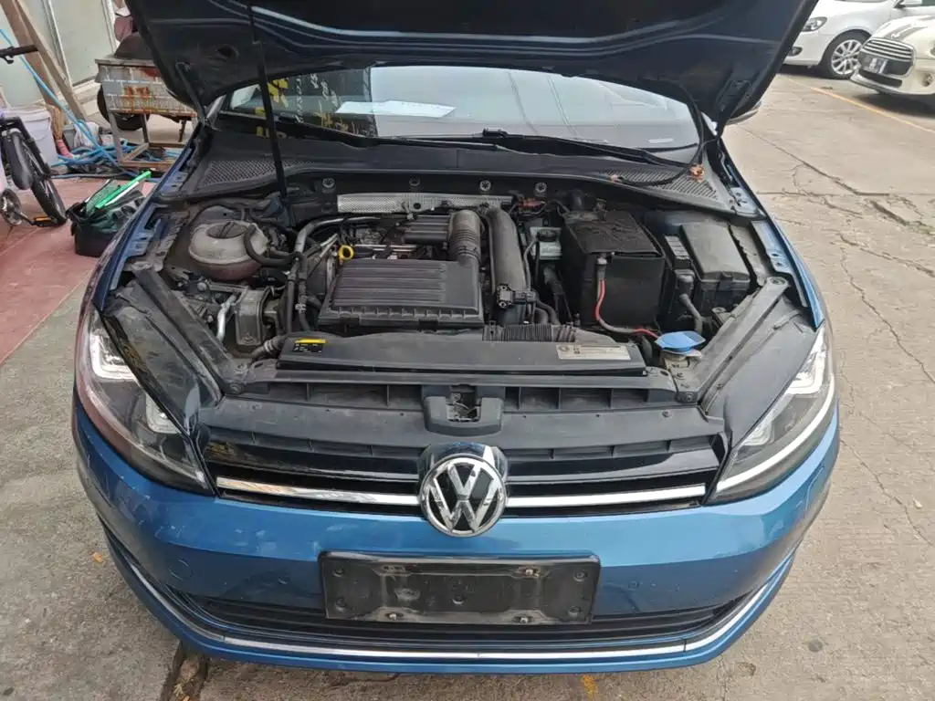 Volkswagen Golf (Import) — миниатюра 20