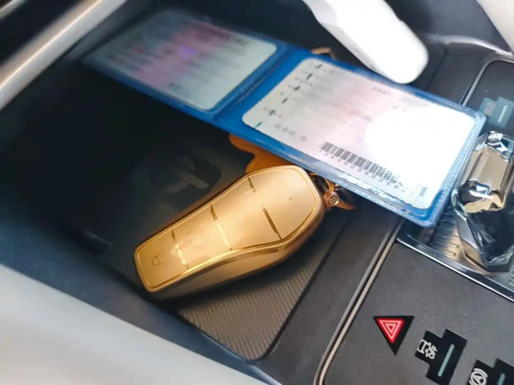BYD PLUS New Energy — миниатюра 9