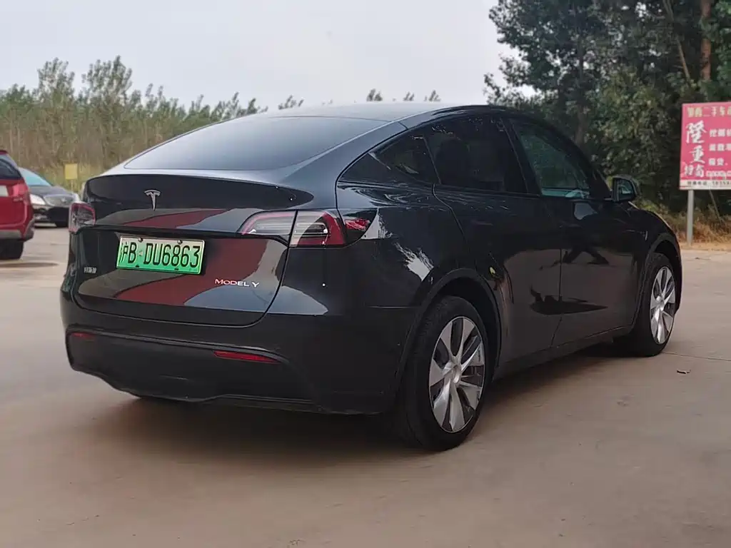 Tesla Model Y — миниатюра 8