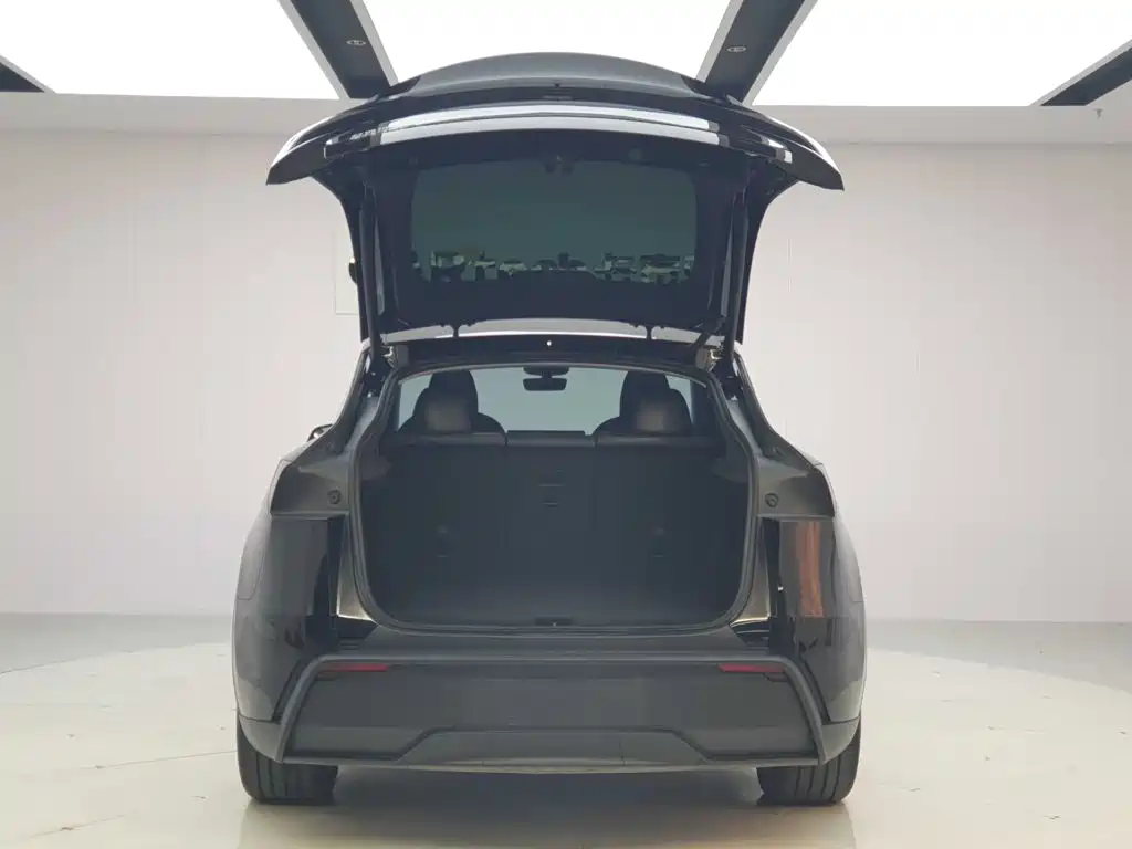 Tesla Model Y — миниатюра 9