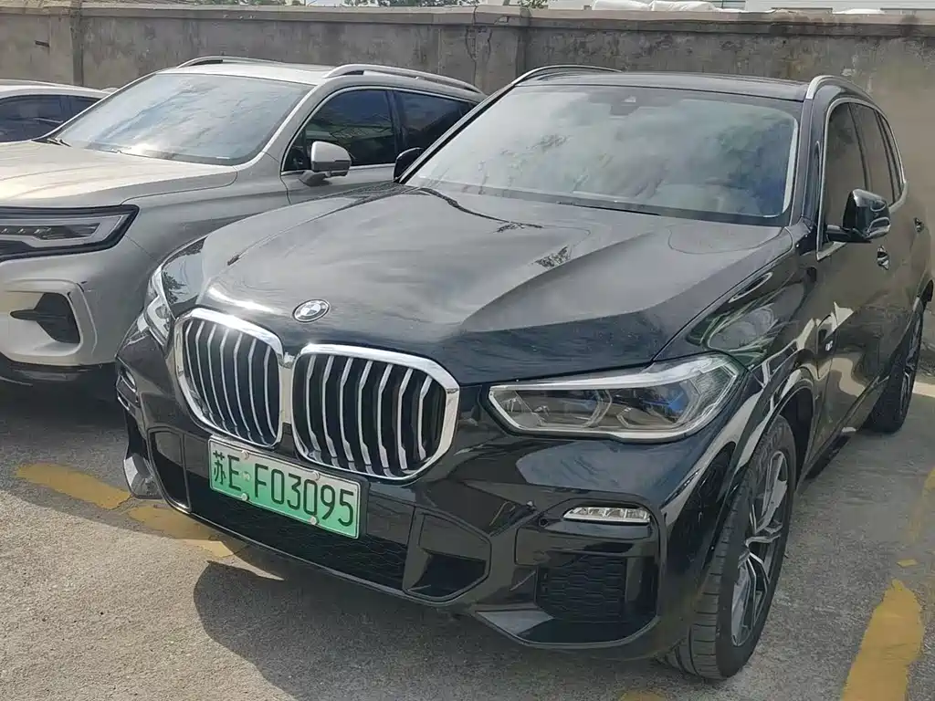 BMW X5 New Energy (Import) 2021