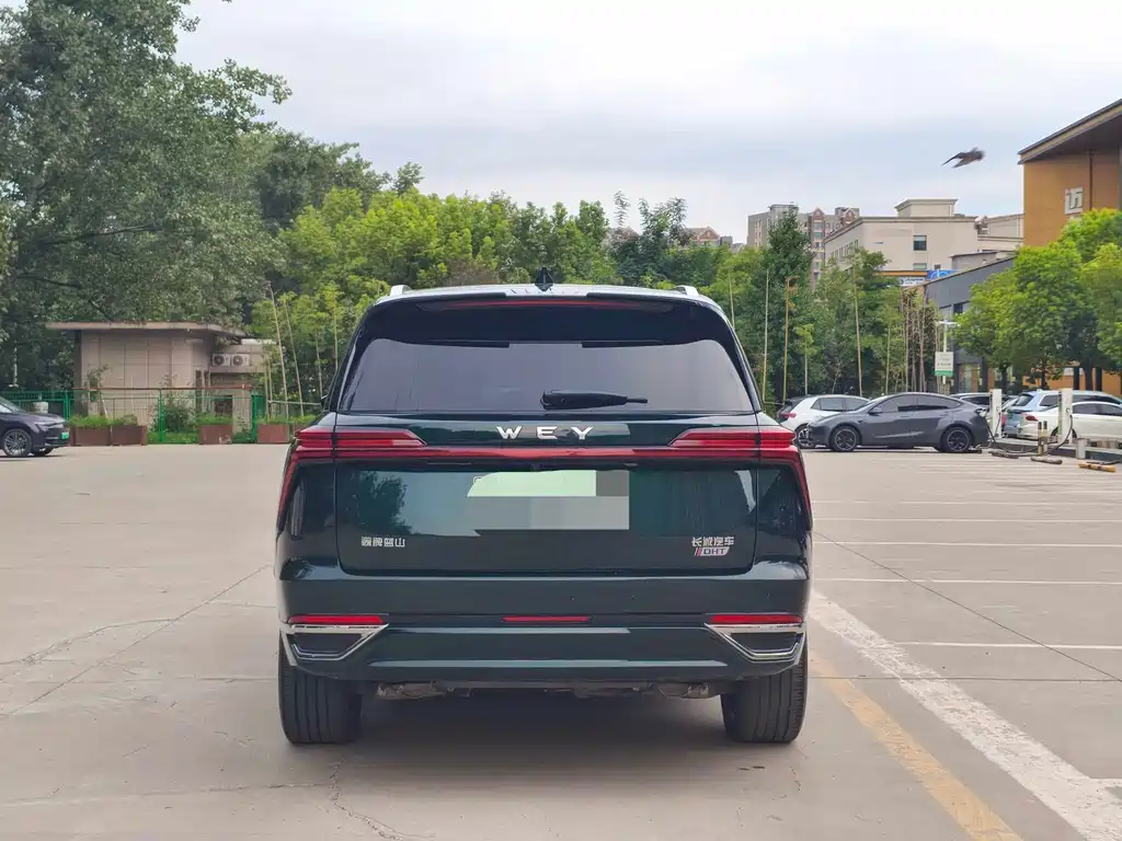 Wey Wey Lanshan — миниатюра 18