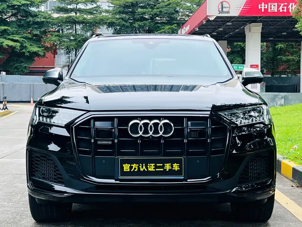 Audi Q7 — миниатюра 2