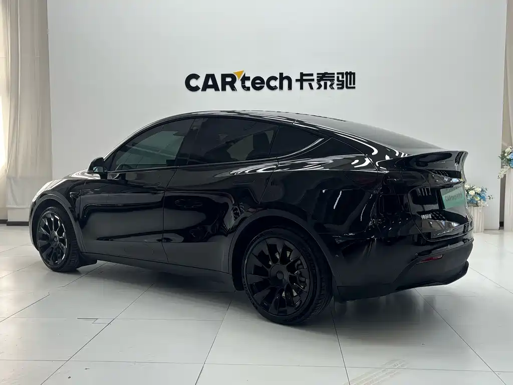 Tesla Model Y — миниатюра 10