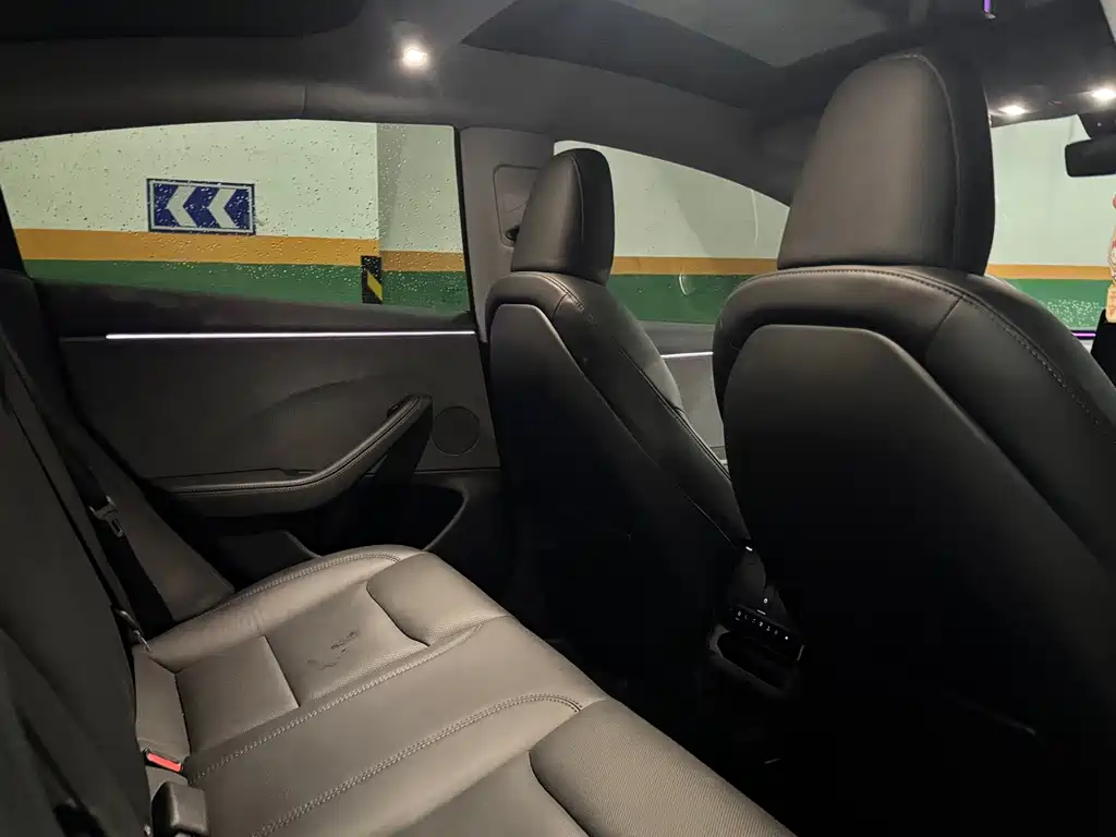 Tesla Model 3 — миниатюра 10