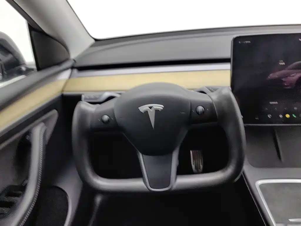 Tesla Model Y — миниатюра 11