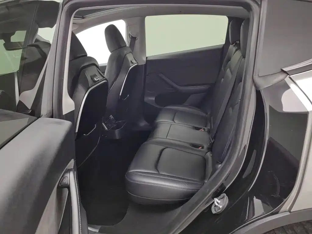 Tesla Model Y — миниатюра 15