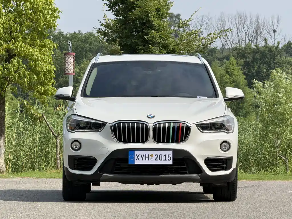 BMW X1 2019 sDrive20Li Lead