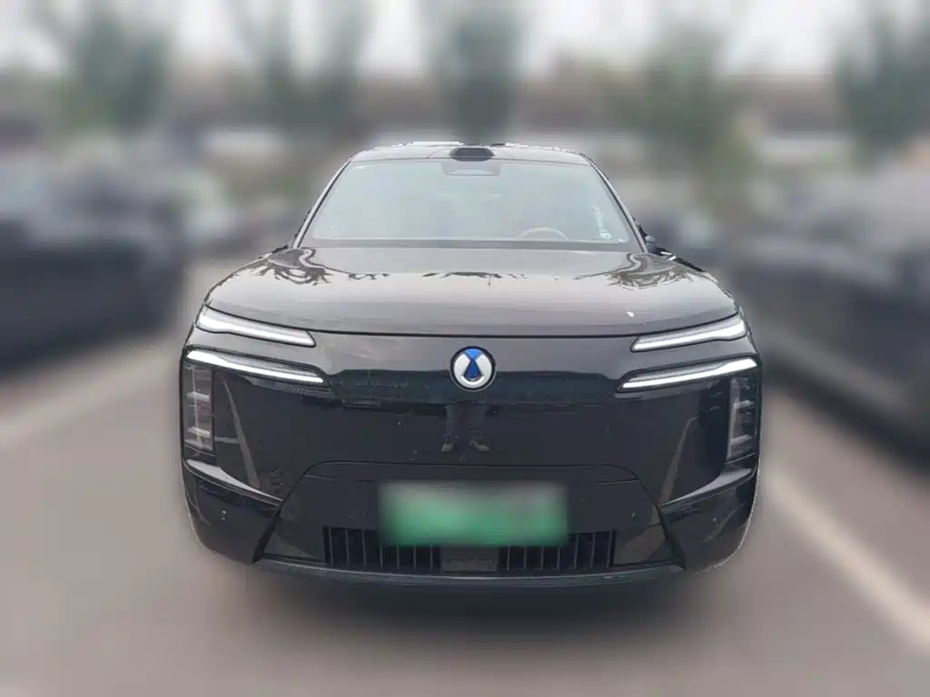 Denza Denza N8L — миниатюра 5