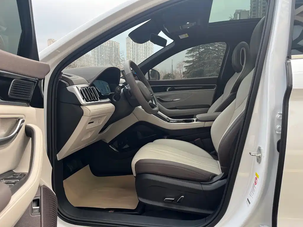 BYD SONGJIANG NEW ENERGY