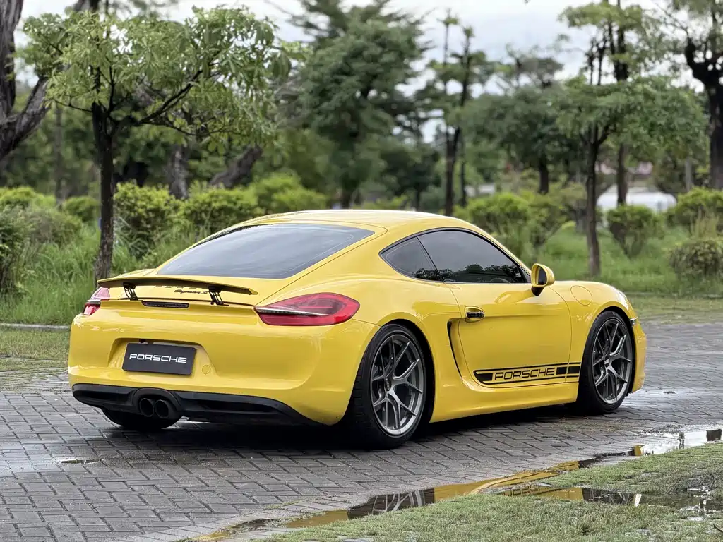 Porsche Cayman — миниатюра 8