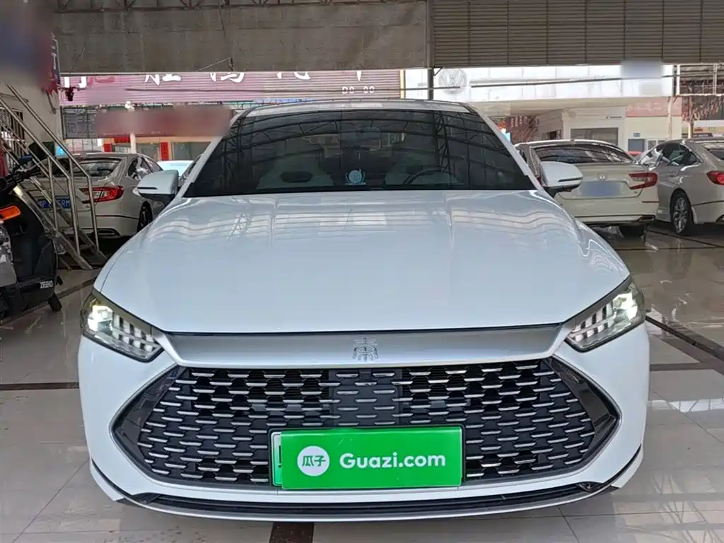 BYD Qin Plus PLUS 2024 DM-i 55KM Lead