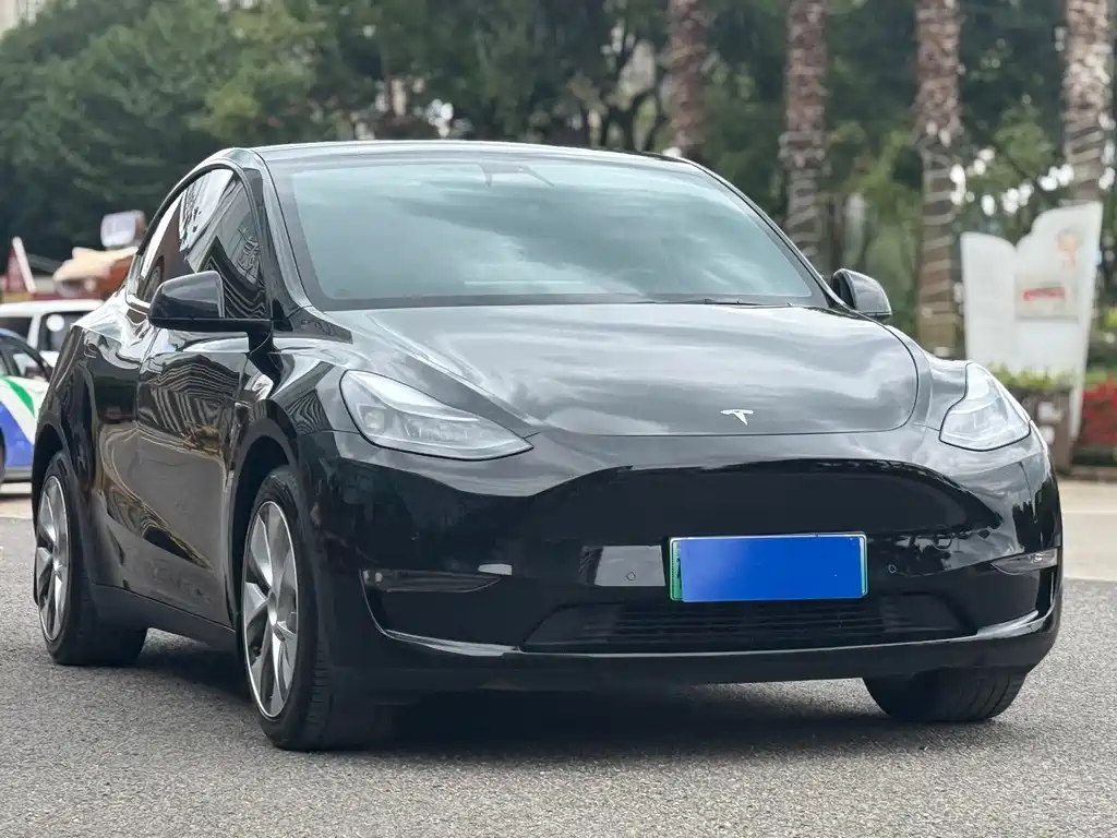 Tesla Model Y — миниатюра 2