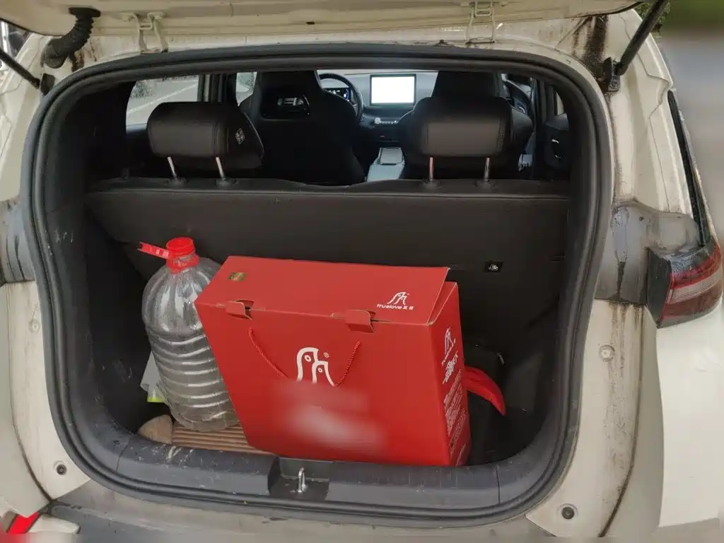 BYD Seagull — миниатюра 10