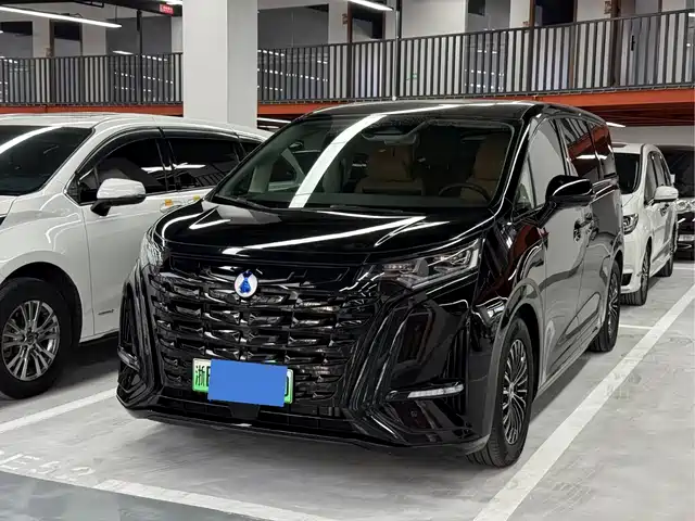 2024 Denza D9