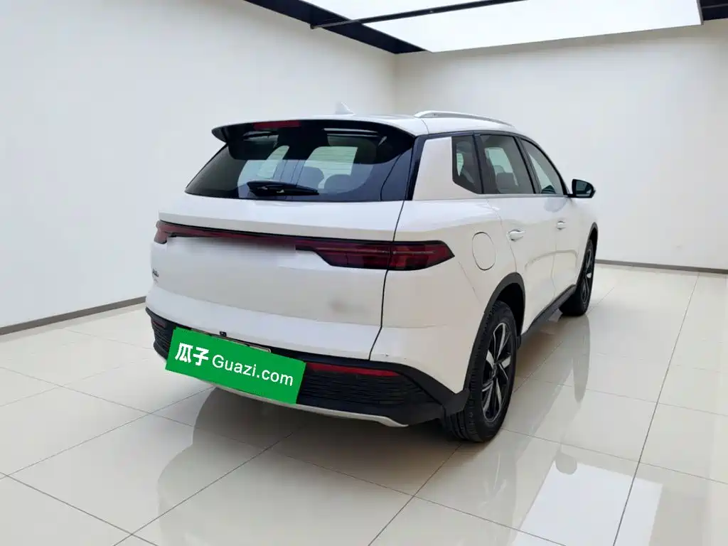 BYD Pro New Energy — миниатюра 6