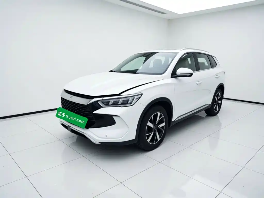 BYD Pro New Energy