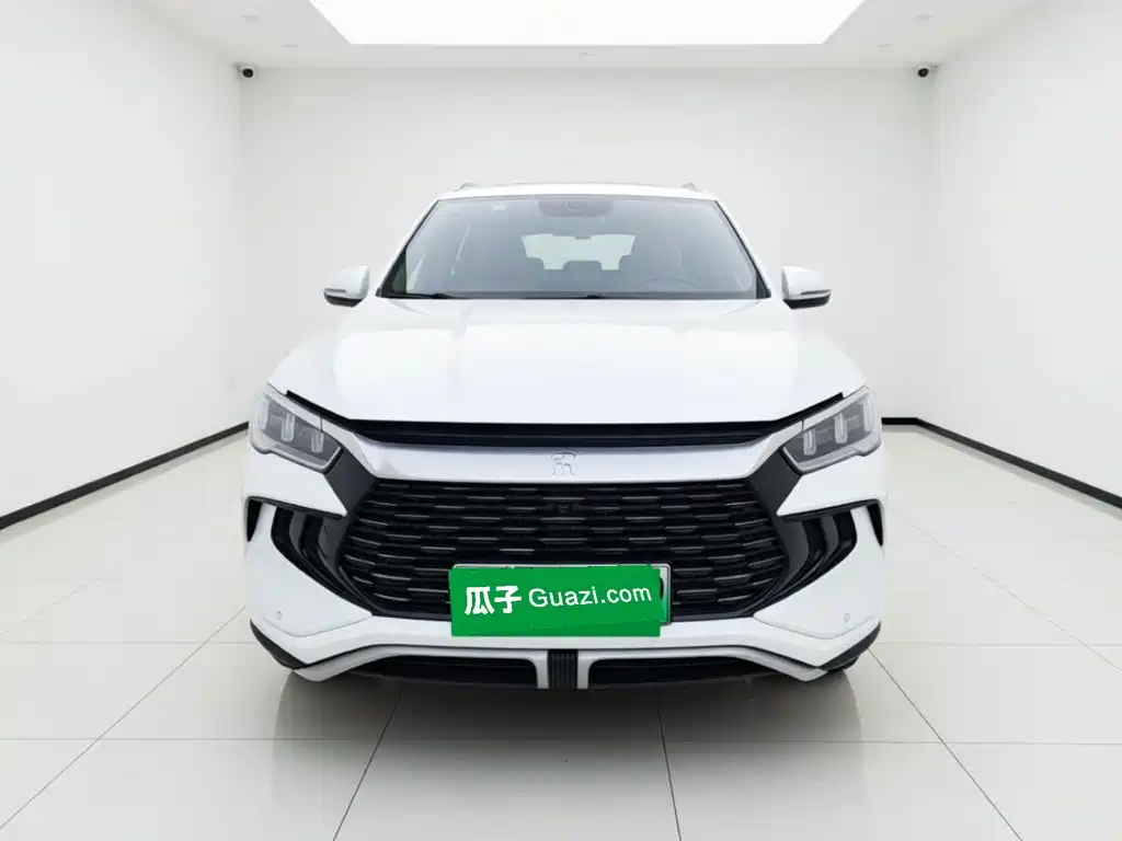 BYD Pro New Energy — миниатюра 2