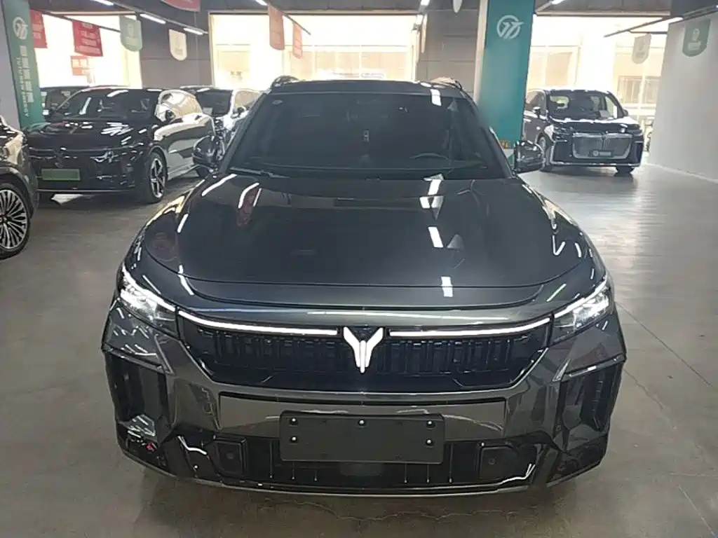 Voyah Free 2025 318 259km