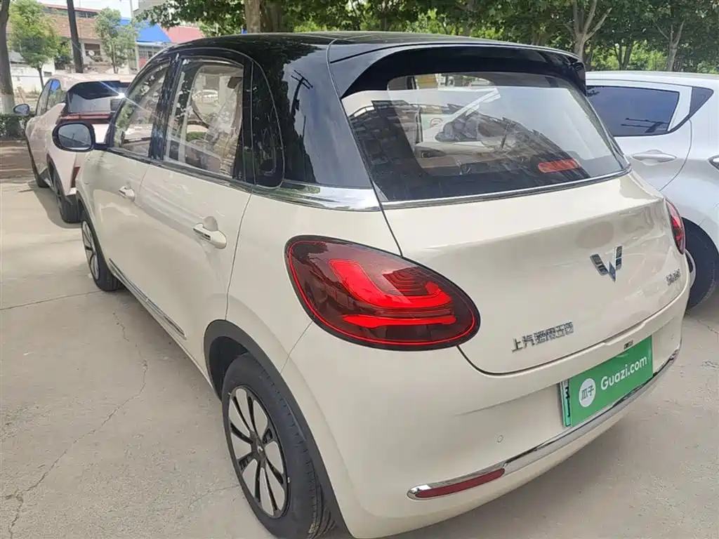 Wuling Binguo 2025 333km Enjoy