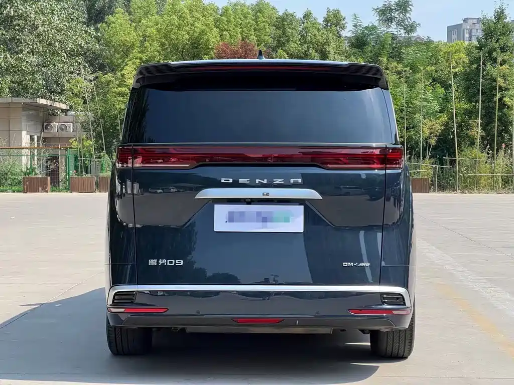 Denza Denza D9 — миниатюра 5