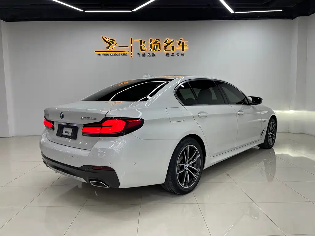 BMW 5 SERIES NEW ENERGY