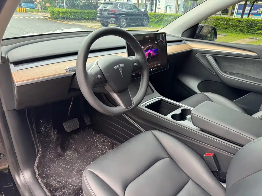 Tesla Model Y — миниатюра 11