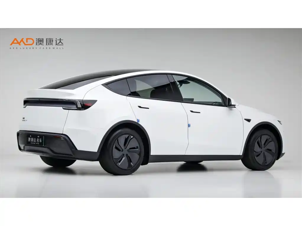 Tesla Model Y — миниатюра 3