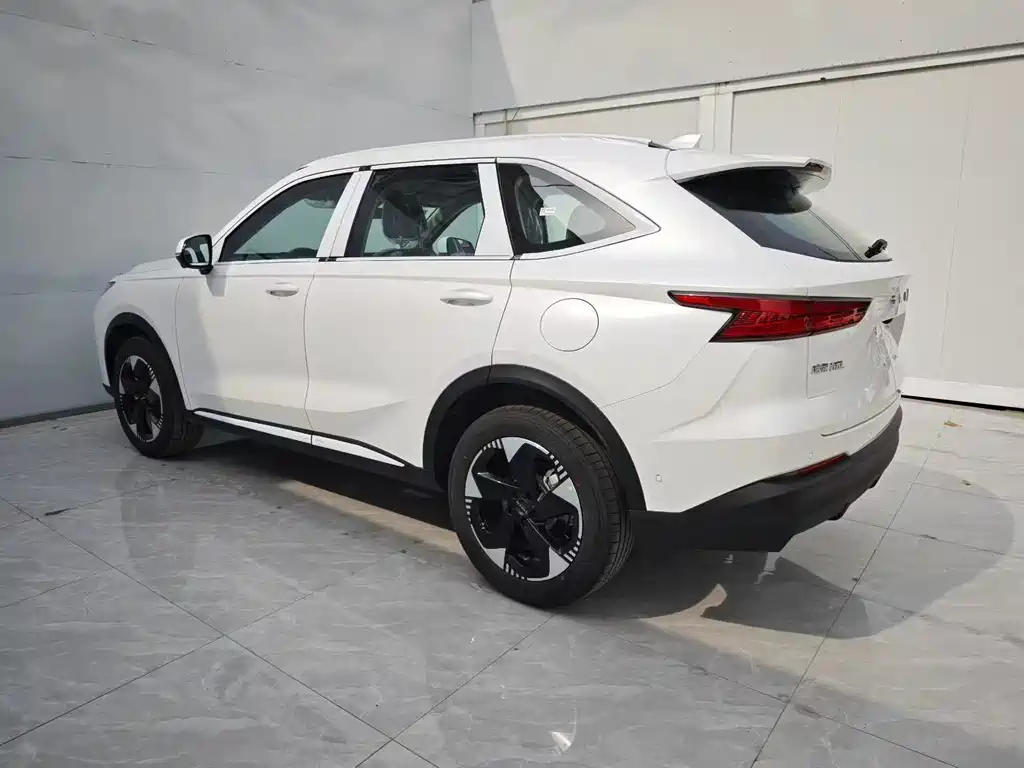 Haval 哈弗H6L — миниатюра 7