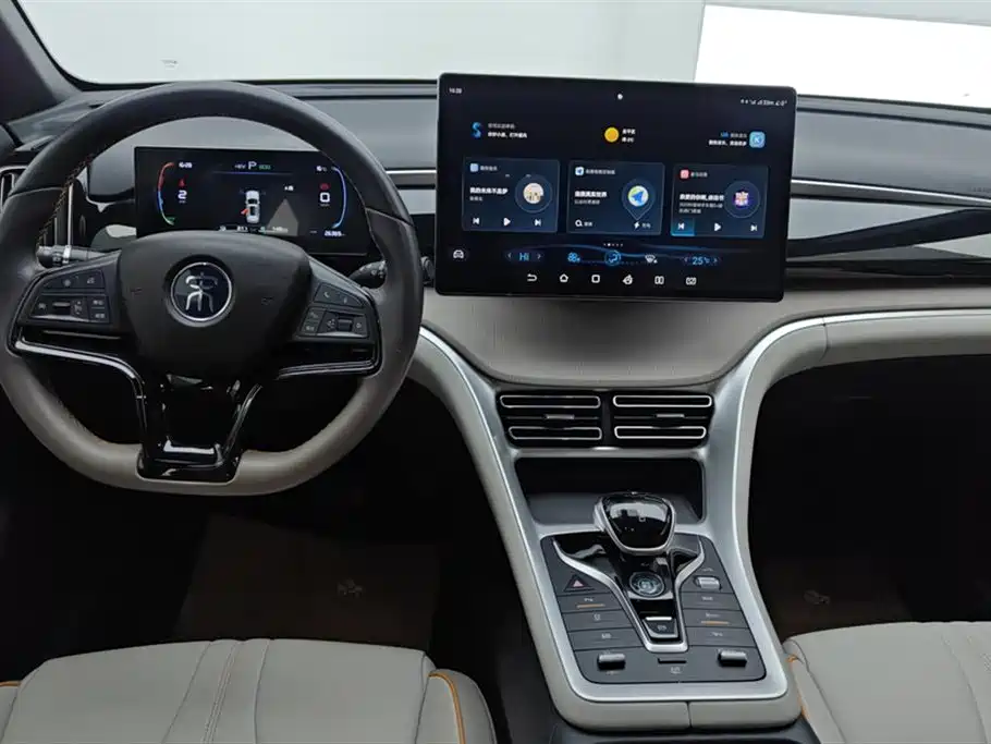 BYD SONGJIANG NEW ENERGY