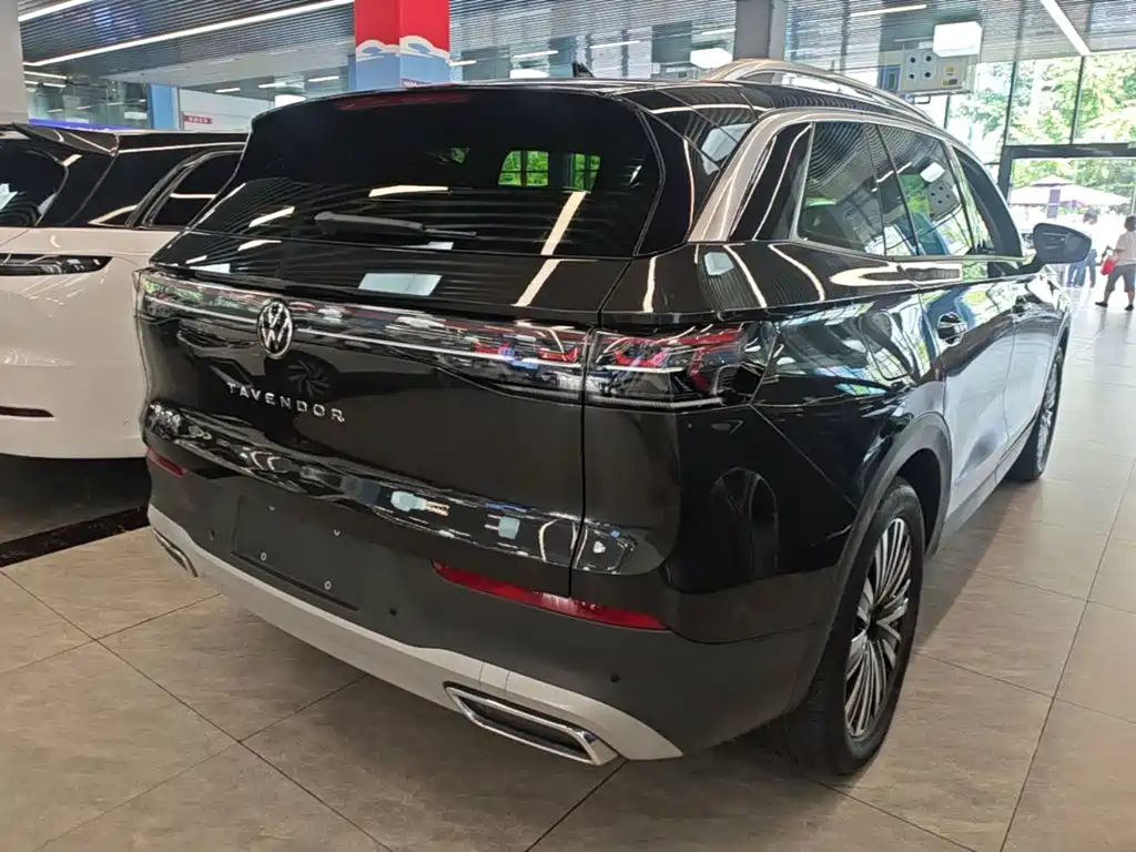 Volkswagen Tavendor — миниатюра 7