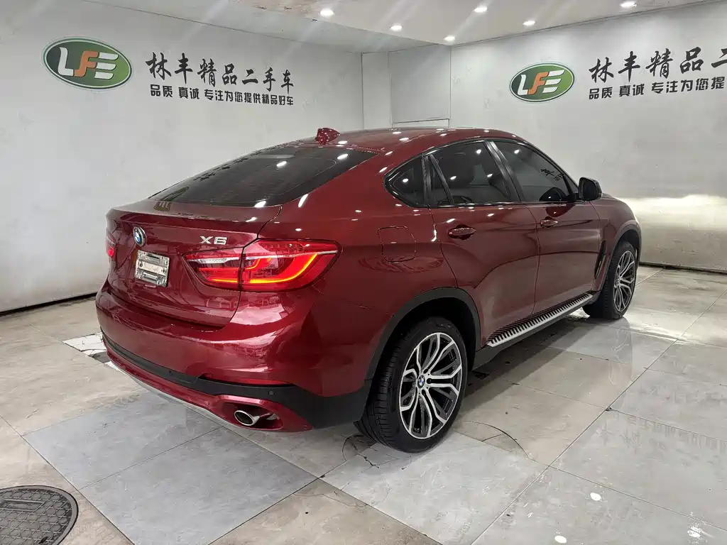 BMW X6 — миниатюра 8