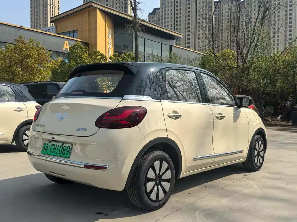 Wuling Binguo 2025 333km Enjoy