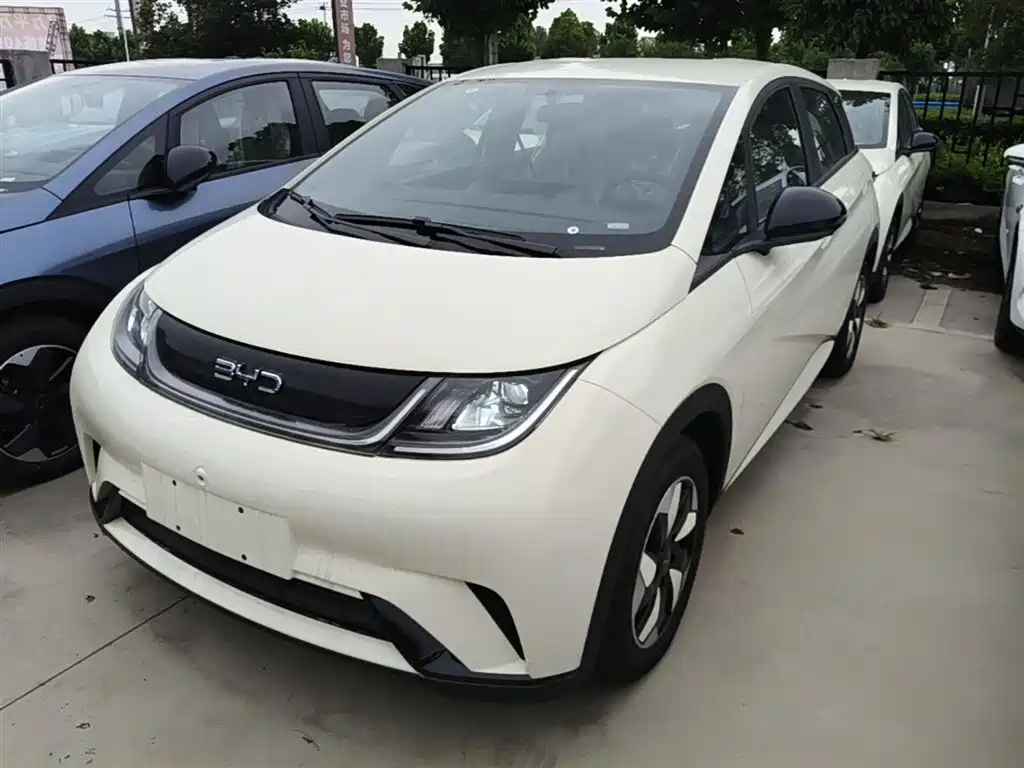 BYD Dolphin 2025 420km Freedom