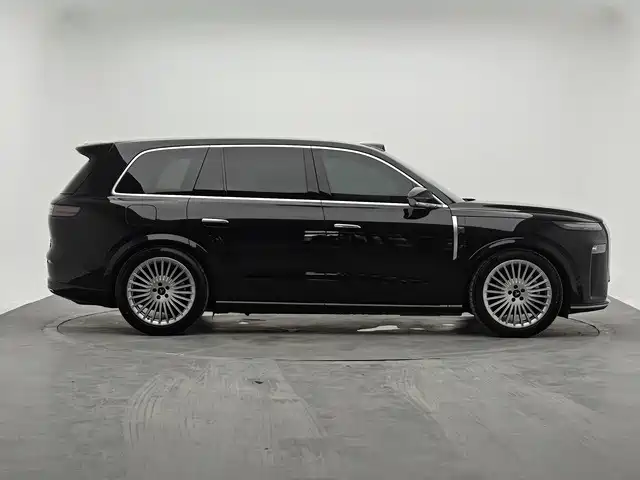 VOYAH Тарзан. — миниатюра 4