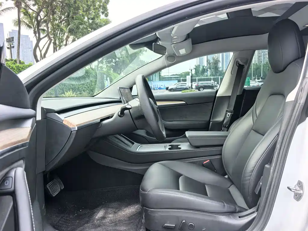Tesla Model 3 2021 3D6